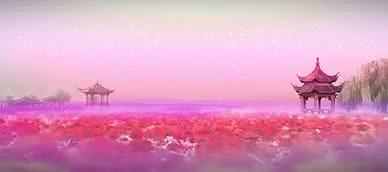 梦幻典雅意境红色花海视频的预览图